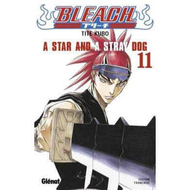 Bleach Tome 11 