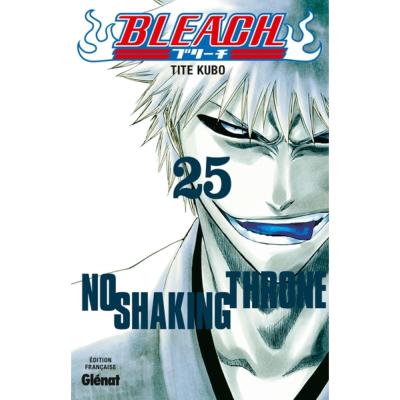 Bleach Tome 25