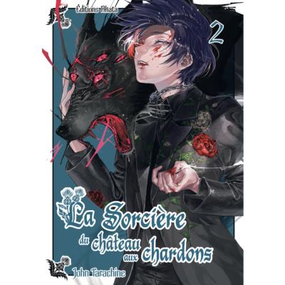 La sorcière du Chateau aux Chardons Tome 2