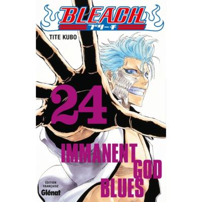 Bleach Tome 24