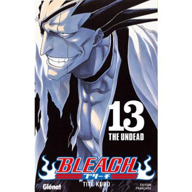 Bleach Tome 13