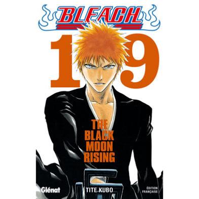 Bleach Tome 19