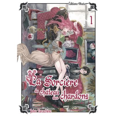 La sorcière du Chateau aux Chardons Tome 1 