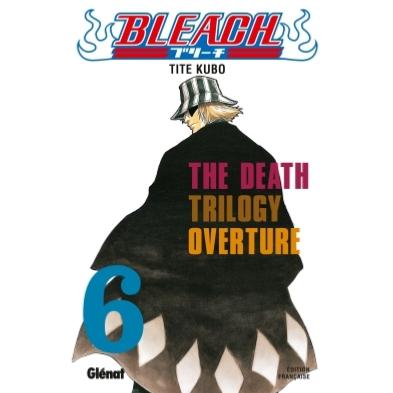 Bleach Tome 6