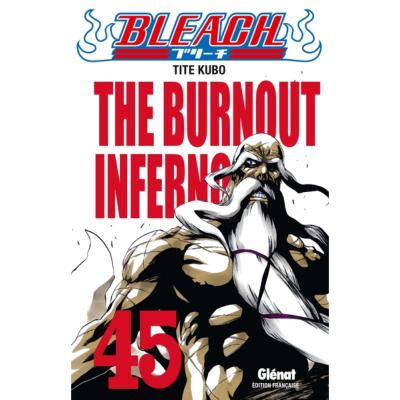 Bleach Tome 45